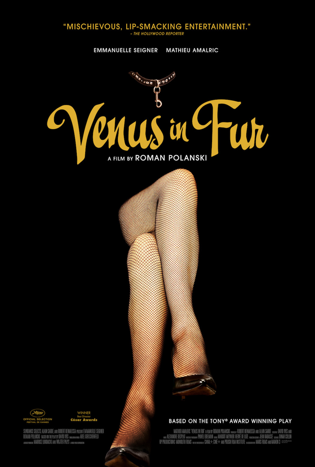 VENUS IN FUR