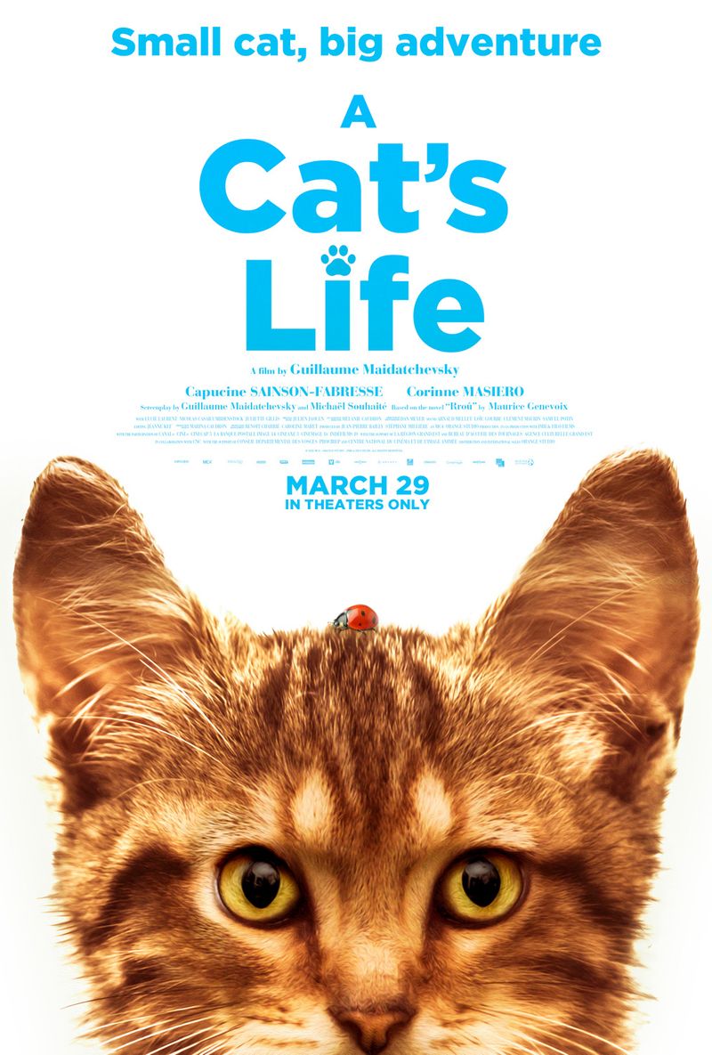 A CAT’S LIFE