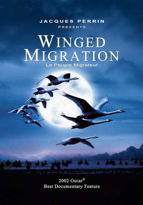 WINGED MIGRATION