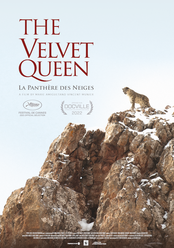 THE VELVET QUEEN