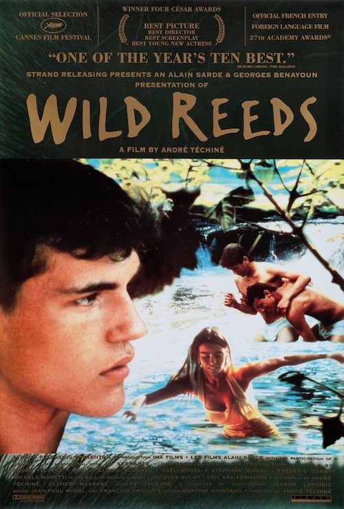 WILD REEDS
