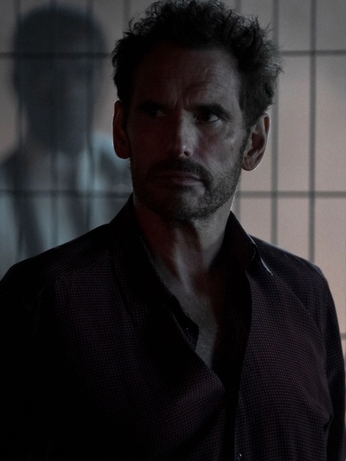 the-fence-copy the-fence-copy